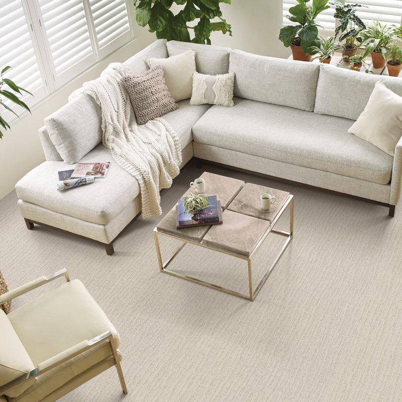 Carpet
